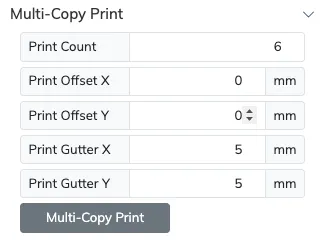 Multi-copy print options