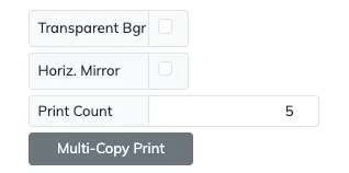 Export/print options